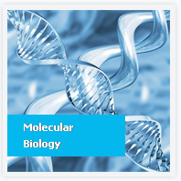 Molecular Biology