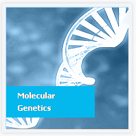 Molecular Genetics