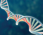 Molecular Genetics